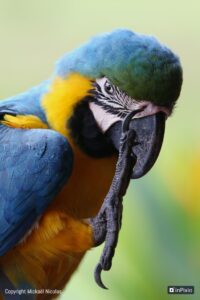 img 4448 version 2 copie inpixio