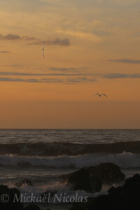 img 5358 version 2 copie