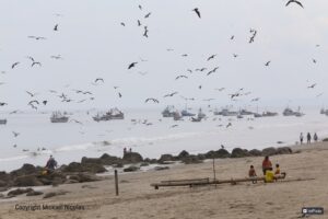 img 5969 copie inpixio