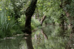 jpeg optimizer img 0017