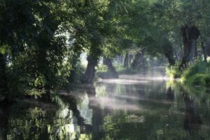 jpeg optimizer img 0436