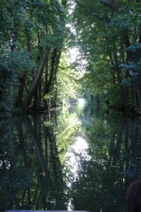 jpeg optimizer img 1515