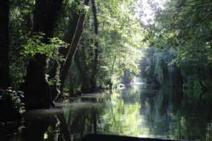 jpeg optimizer img 1527