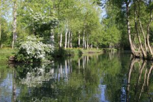 jpeg optimizer img 2084