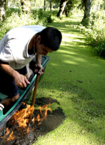 jpeg optimizer img 2436 2