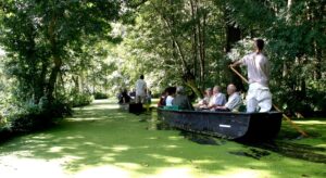 jpeg optimizer img 2440