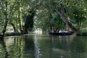 jpeg optimizer img 2465