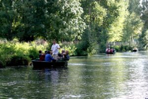 jpeg optimizer img 2470