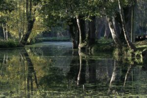 jpeg optimizer img 2859 2