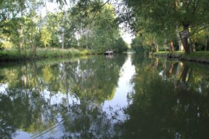 jpeg optimizer img 2880