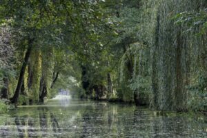 jpeg optimizer img 2893