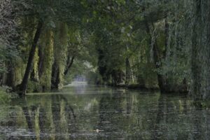 jpeg optimizer img 2894