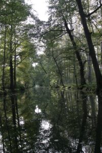 jpeg optimizer img 2989 2