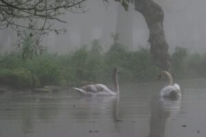 jpeg optimizer img 3006 2