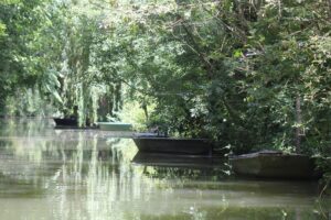 jpeg optimizer img 3007 2