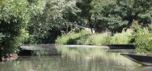 jpeg optimizer img 3030 copie