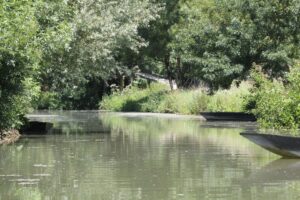 jpeg optimizer img 3031