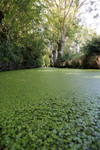 jpeg optimizer img 3359