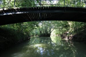 jpeg optimizer img 3389