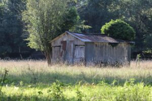 jpeg optimizer img 3545