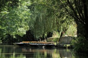 jpeg optimizer img 3807 2