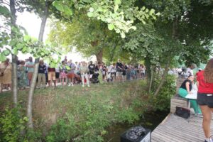 jpeg optimizer img 5413