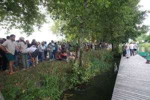 jpeg optimizer img 5418