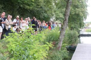 jpeg optimizer img 5482