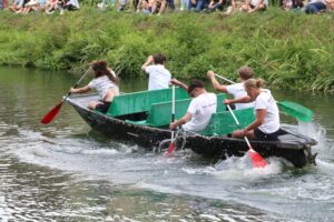 jpeg optimizer img 5503