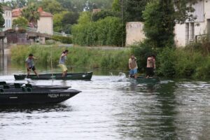 jpeg optimizer img 5627