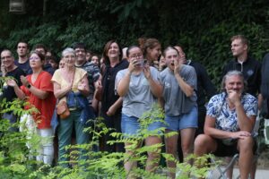 jpeg optimizer img 5633