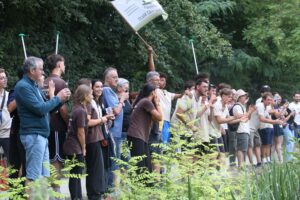 jpeg optimizer img 5655