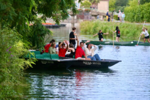 jpeg optimizer img 5746