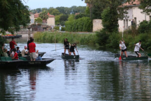 jpeg optimizer img 5747