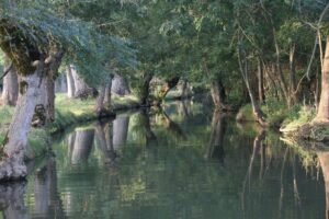 jpeg optimizer img 5770