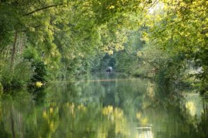 jpeg optimizer img 6010