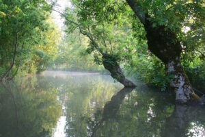 jpeg optimizer img 6517 2