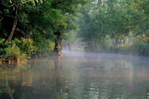 jpeg optimizer img 6522 copie