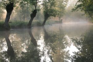 jpeg optimizer img 6557