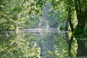 jpeg optimizer img 6790 copie