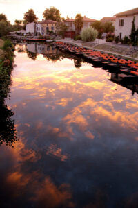 jpeg optimizer img 7161