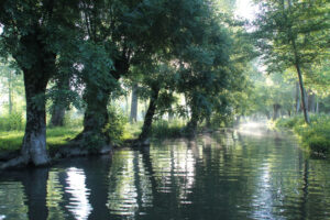 jpeg optimizer img 7372