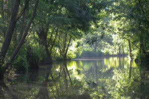 jpeg optimizer img 7578