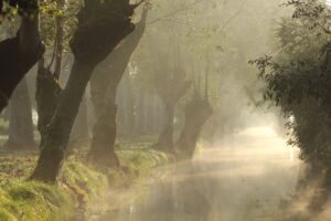 jpeg optimizer img 7780