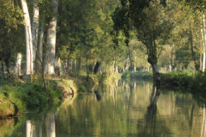 jpeg optimizer img 7901