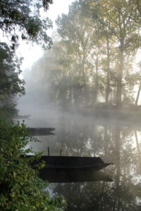 jpeg optimizer img 7989