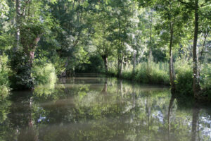 jpeg optimizer img 8851