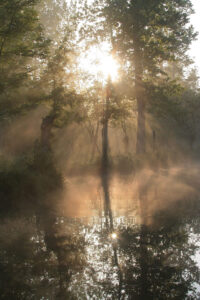 jpeg optimizer m 025