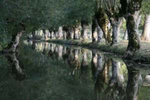 jpeg optimizer mg 0205