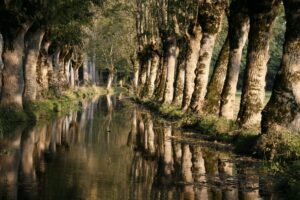 jpeg optimizer mg 0222